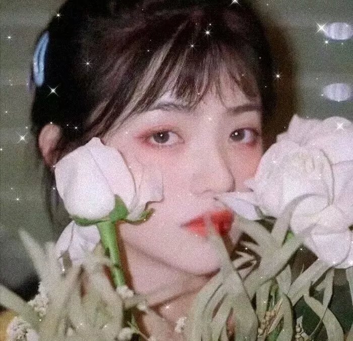 绝命档案