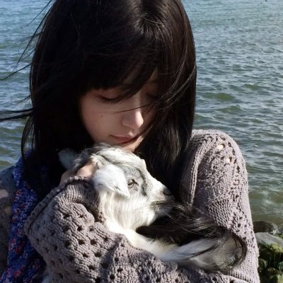 七号禁毒组
